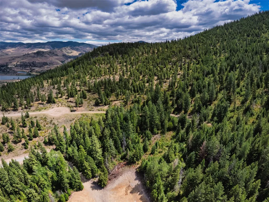 Lot 1 Bighorn Bluff Road Plains MT 59859