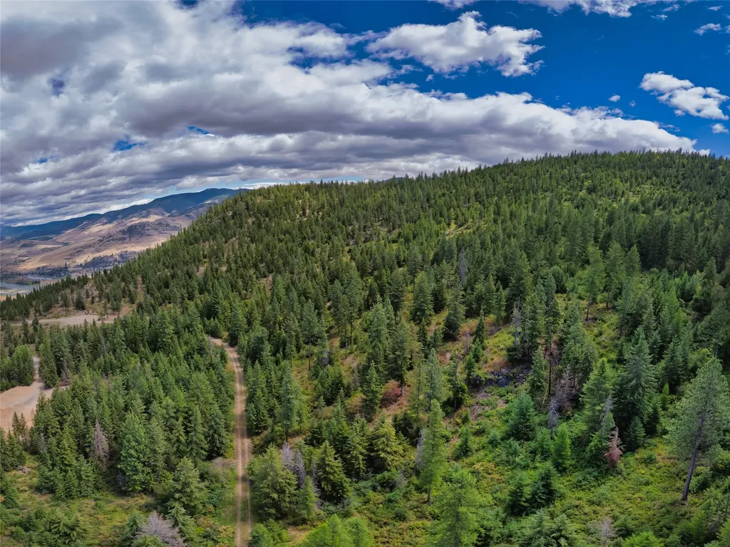 Lot 1 Bighorn Bluff Road Plains MT 59859
