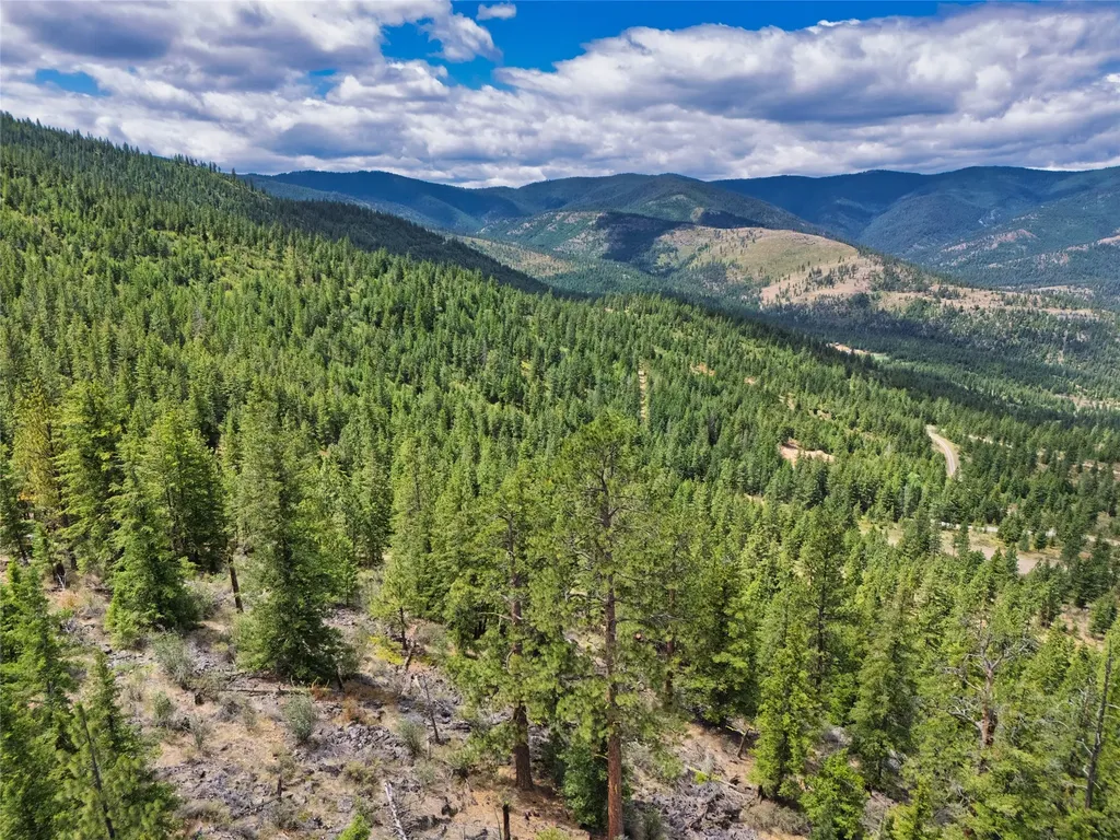 Lot 1 Bighorn Bluff Road Plains MT 59859