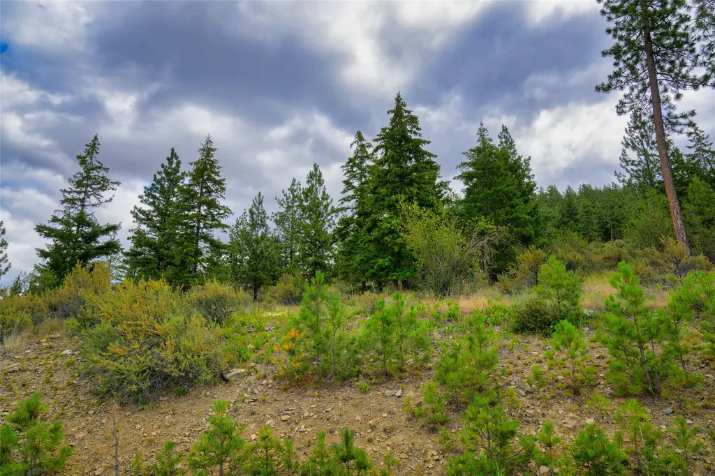 Lot 6 Bighorn Bluff Road Plains MT 59859