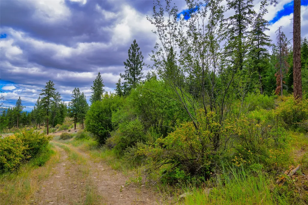 Lot 6 Bighorn Bluff Road Plains MT 59859