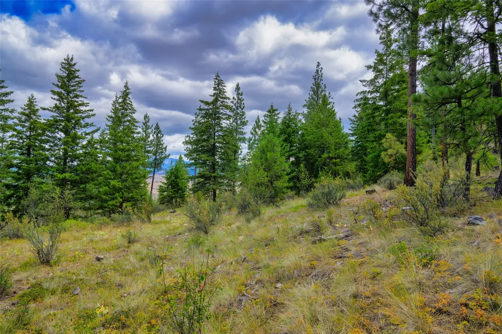 Lot 6 Bighorn Bluff Road Plains MT 59859