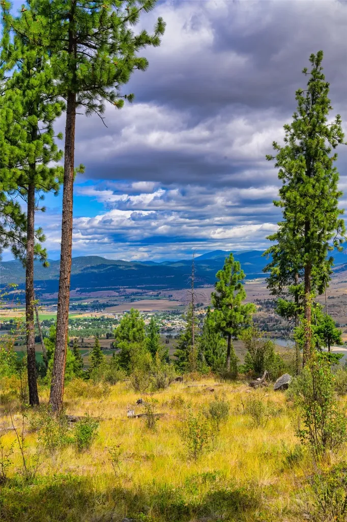 Lot 6 Bighorn Bluff Road Plains MT 59859