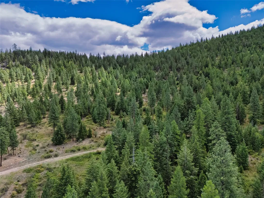 Lot 6 Bighorn Bluff Road Plains MT 59859
