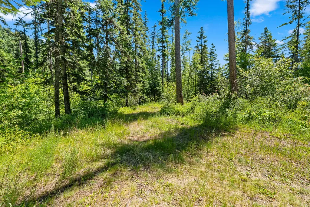 16961 Mount Highway 83 Bigfork MT 59911