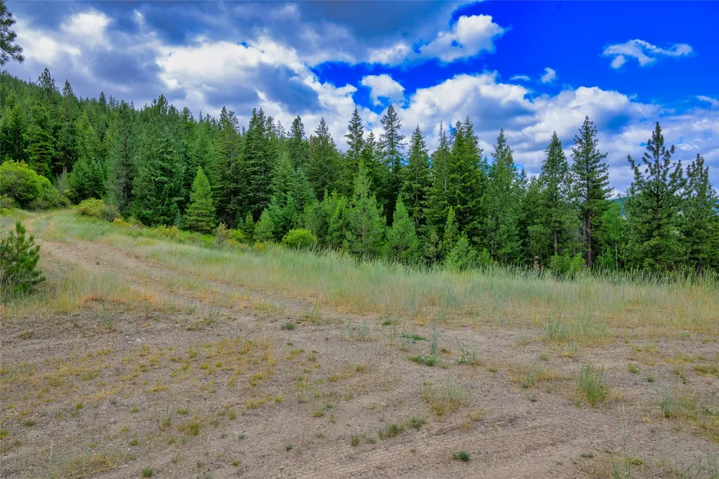 Lots 20 & 23 Bighorn Bluff Road Plains MT 59859