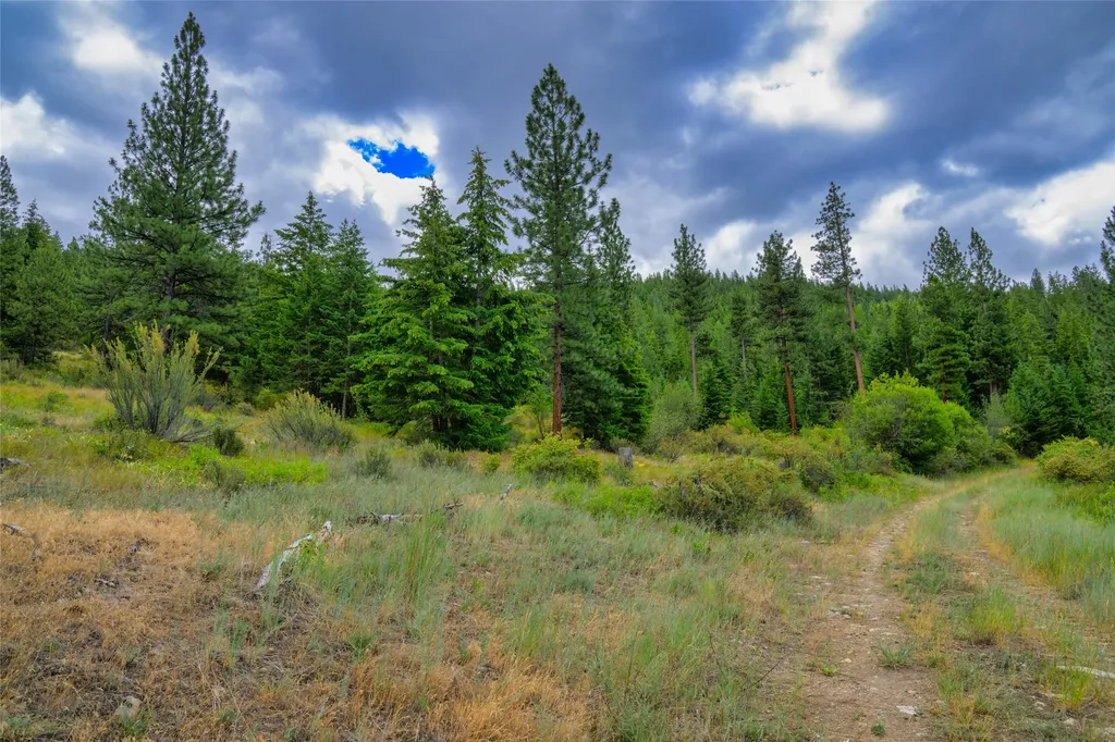 Lots 20 & 23 Bighorn Bluff Road Plains MT 59859