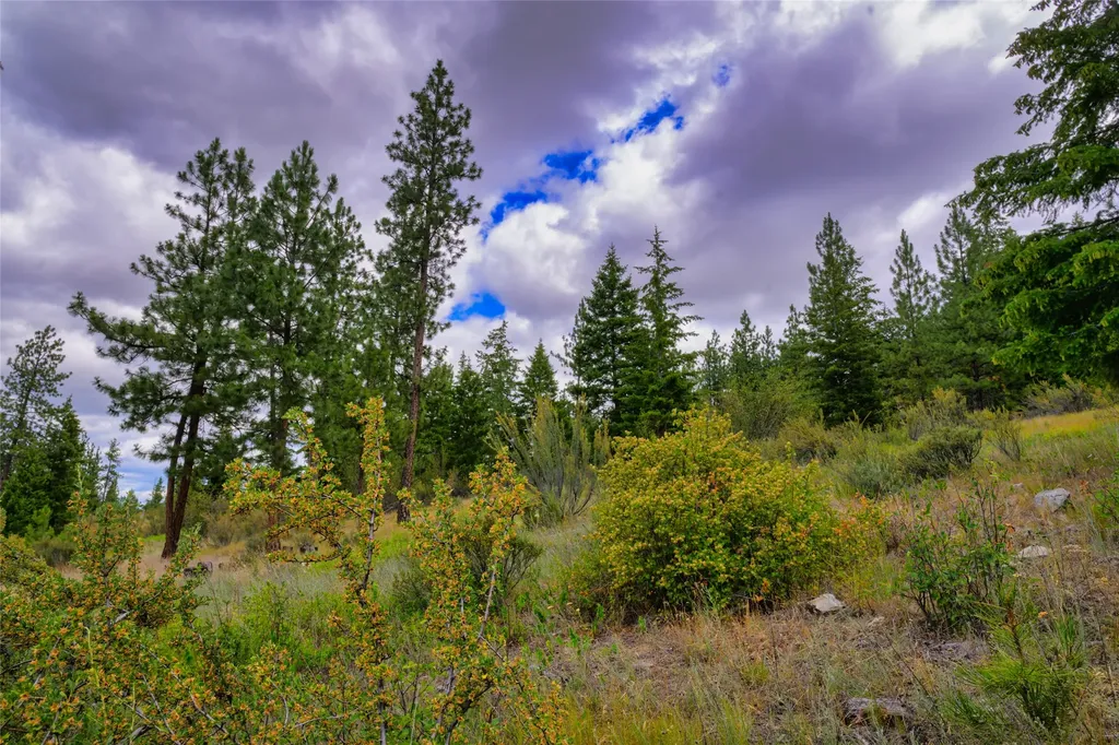Lots 20 & 23 Bighorn Bluff Road Plains MT 59859