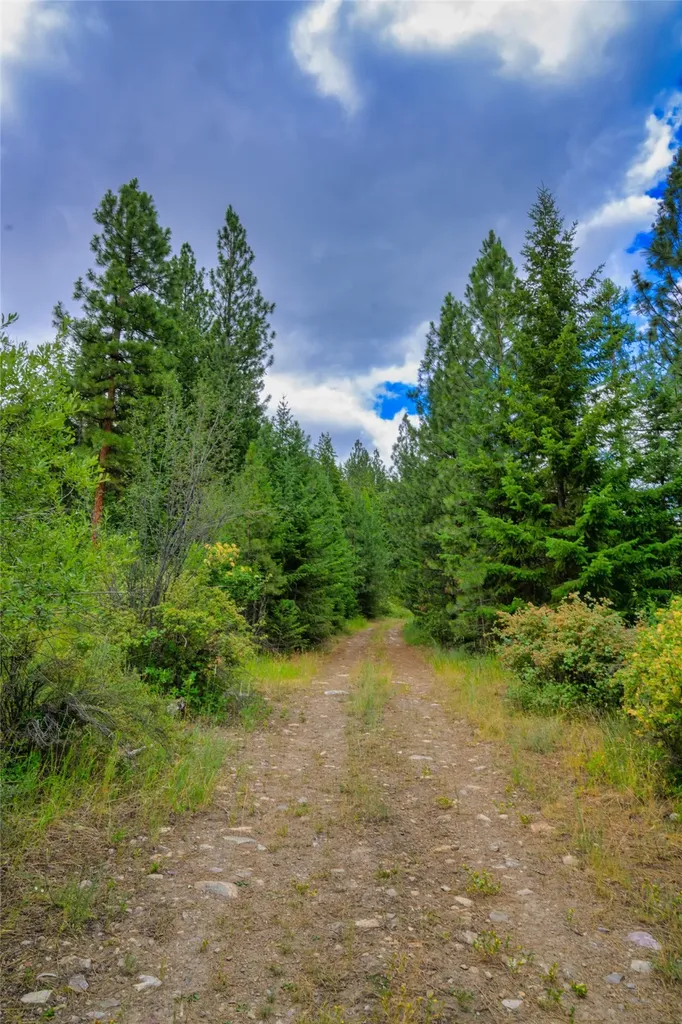 Lots 20 & 23 Bighorn Bluff Road Plains MT 59859
