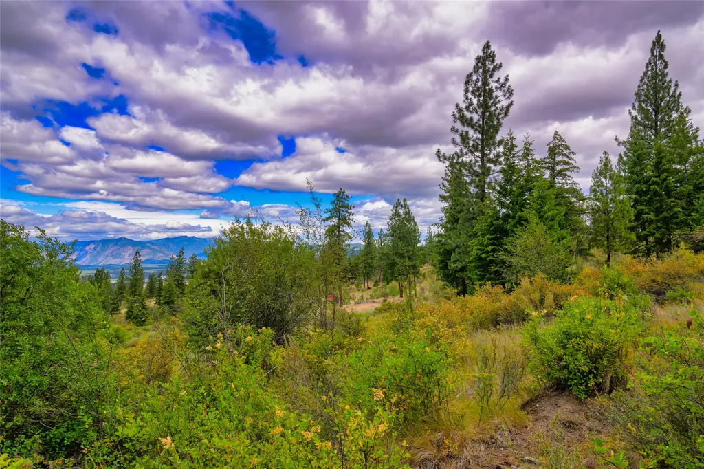 Lots 20 & 23 Bighorn Bluff Road Plains MT 59859