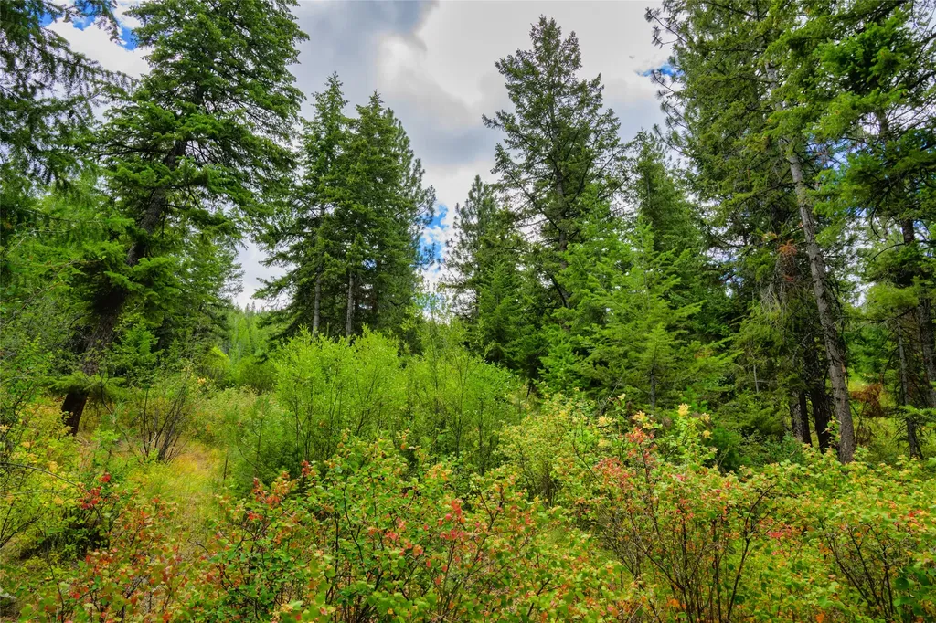 Lots 20 & 23 Bighorn Bluff Road Plains MT 59859