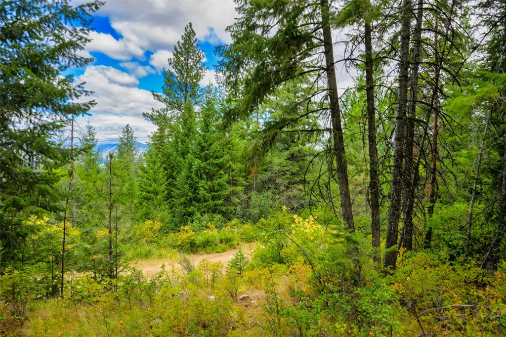 Lots 20 & 23 Bighorn Bluff Road Plains MT 59859