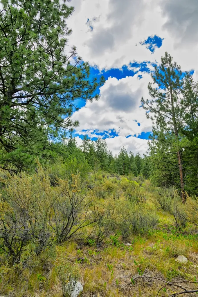 Lots 20 & 23 Bighorn Bluff Road Plains MT 59859