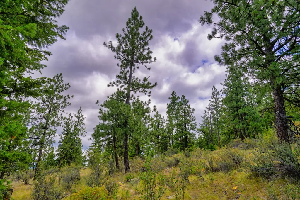Lots 20 & 23 Bighorn Bluff Road Plains MT 59859