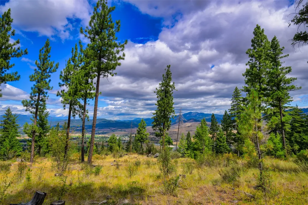 Lots 20 & 23 Bighorn Bluff Road Plains MT 59859