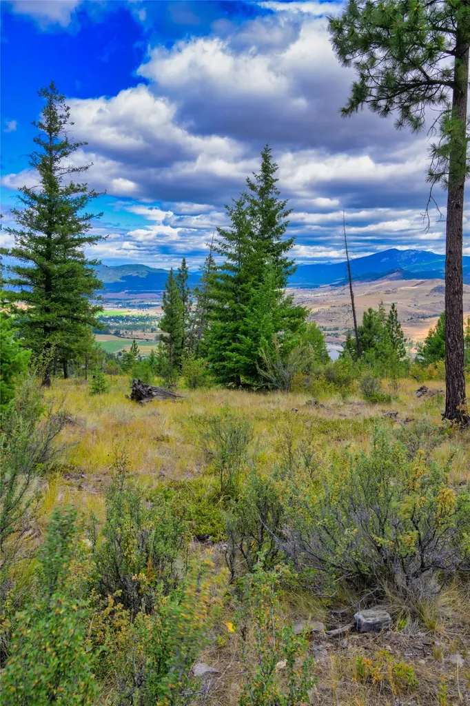 Lots 20 & 23 Bighorn Bluff Road Plains MT 59859