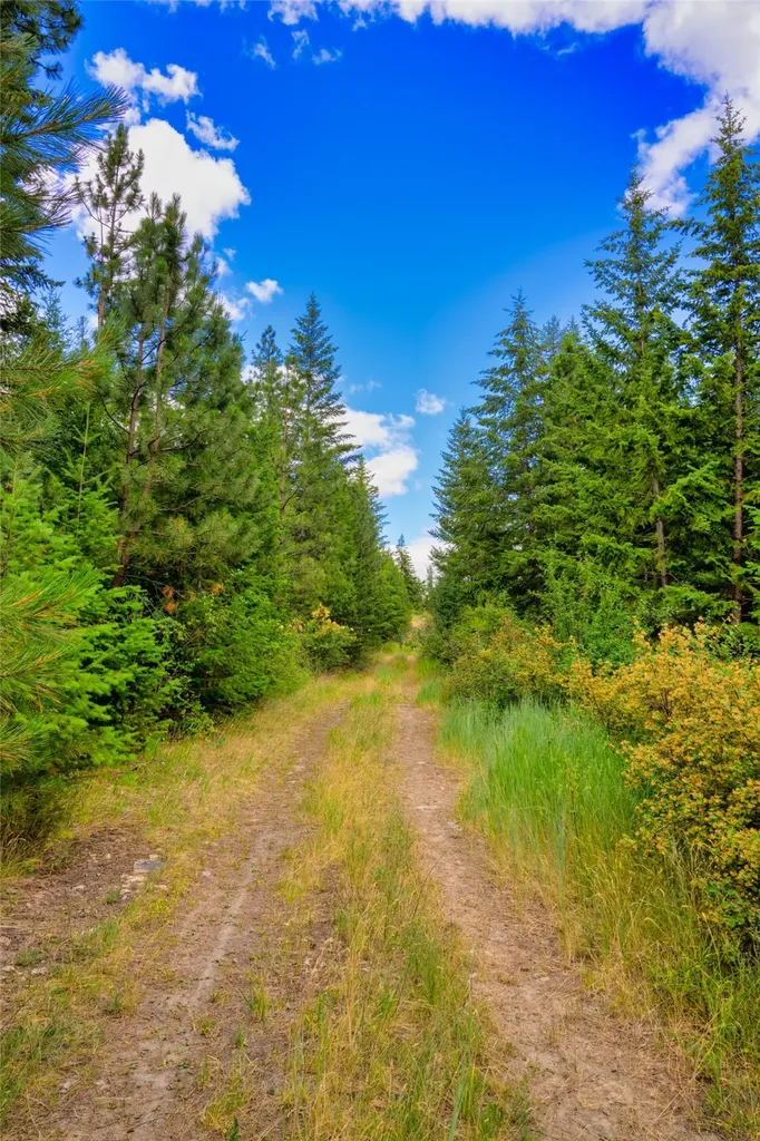 Lot 29 Bighorn Bluff Loop Plains MT 59859