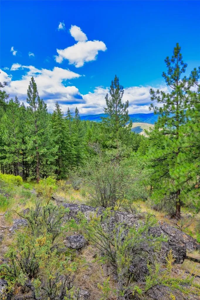 Lot 29 Bighorn Bluff Loop Plains MT 59859
