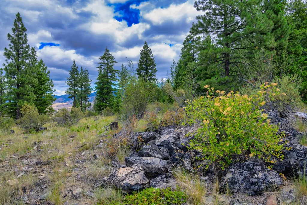 Lot 29 Bighorn Bluff Loop Plains MT 59859