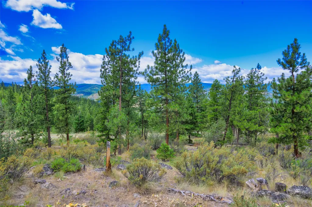 Lot 29 Bighorn Bluff Loop Plains MT 59859