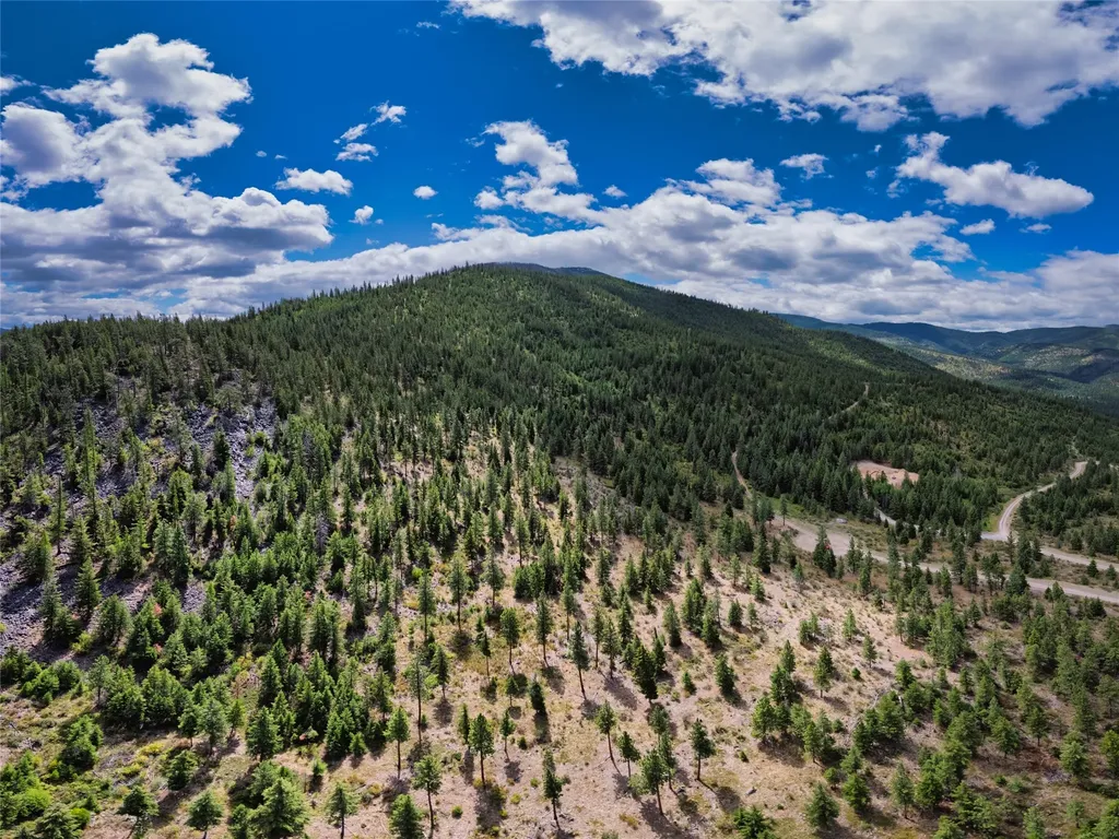 Lot 29 Bighorn Bluff Loop Plains MT 59859