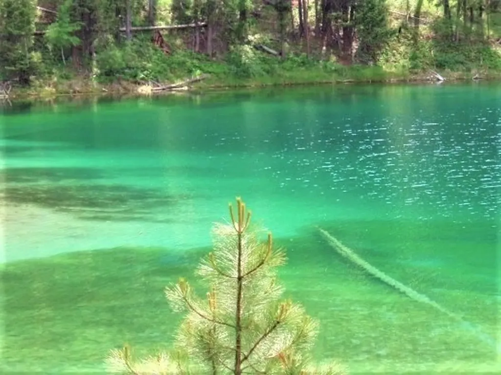 Nhn Emerald Lake Loop Seeley Lake MT 59868
