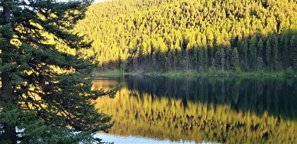 Nhn Emerald Lake Loop Seeley Lake MT 59868