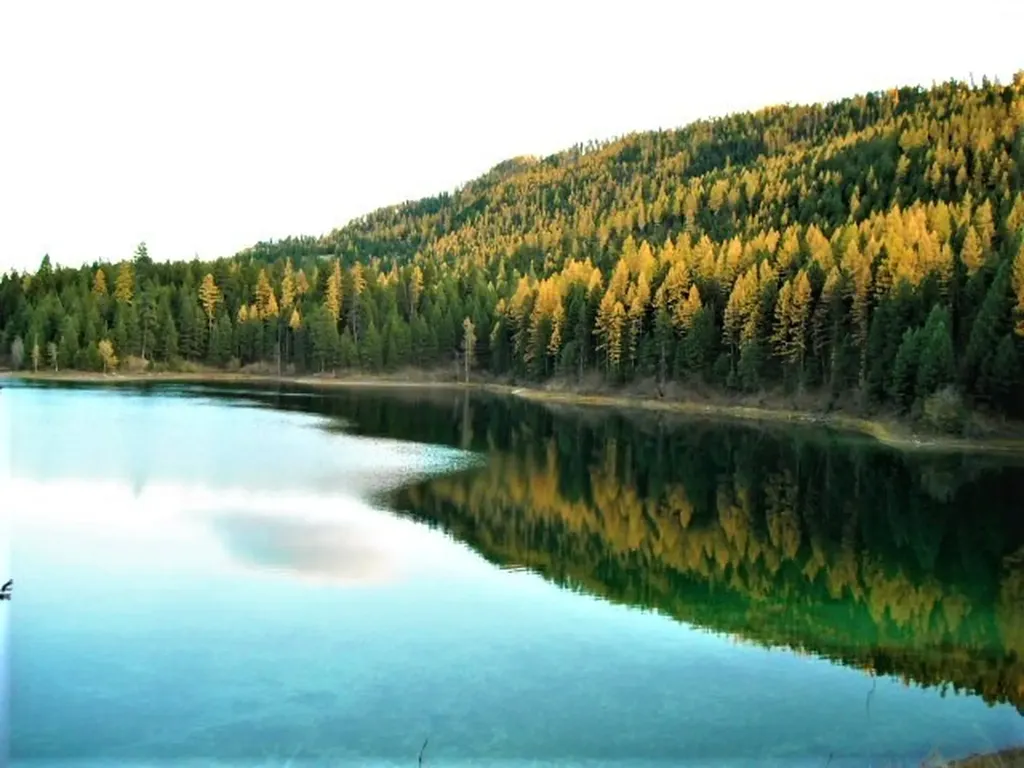 Nhn Emerald Lake Loop Seeley Lake MT 59868