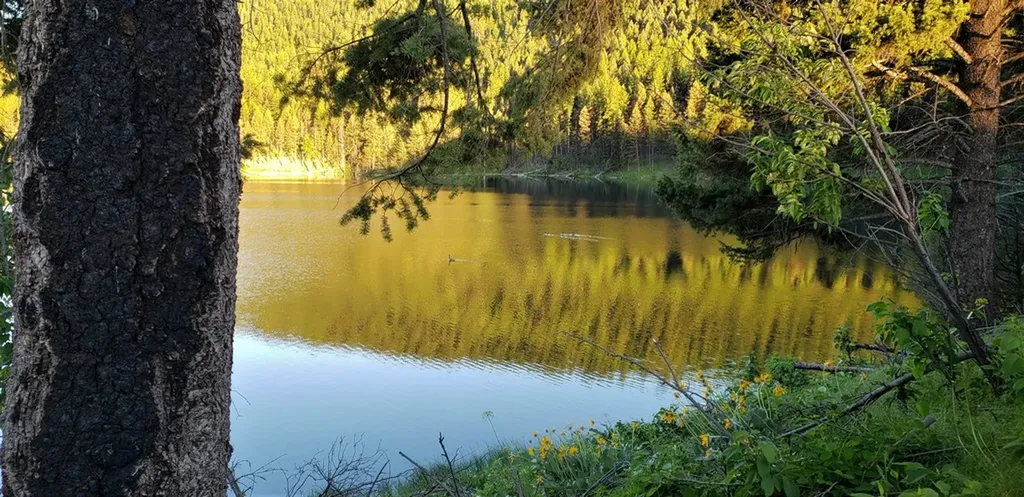Nhn Emerald Lake Loop Seeley Lake MT 59868