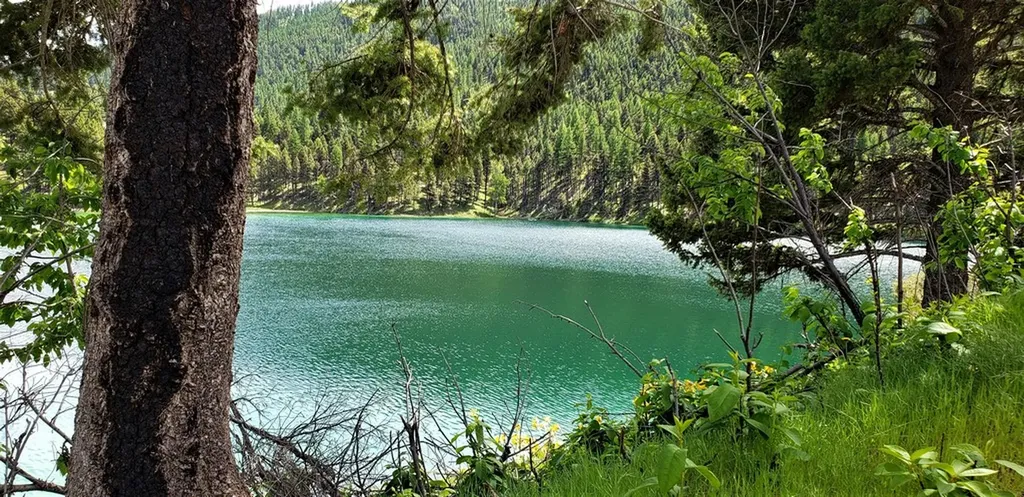 Nhn Emerald Lake Loop Seeley Lake MT 59868