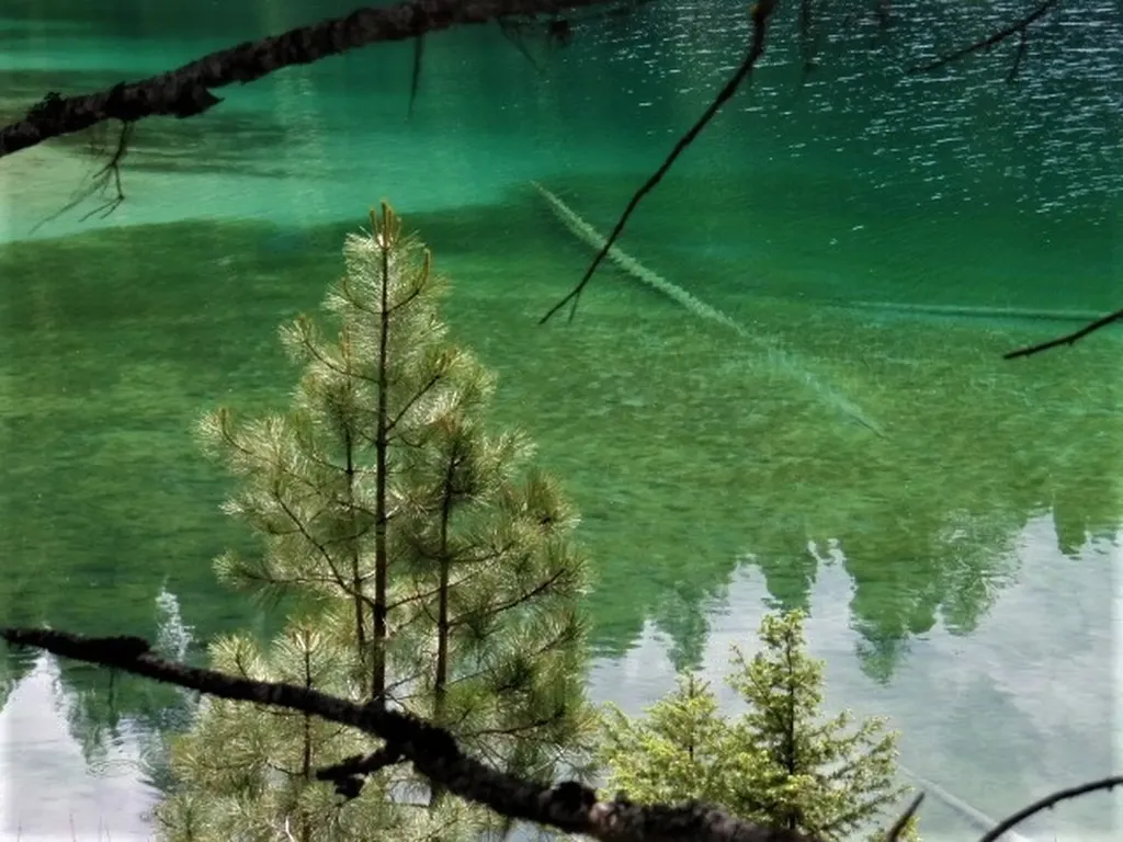 Nhn Emerald Lake Loop Seeley Lake MT 59868