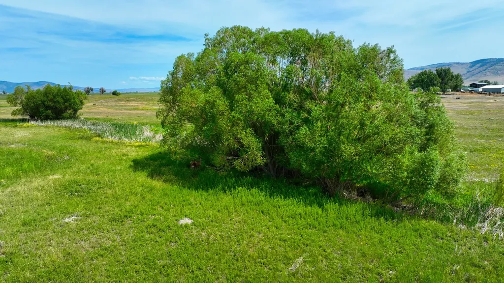 2167 Mt Highway 28 Hot Springs MT 59845