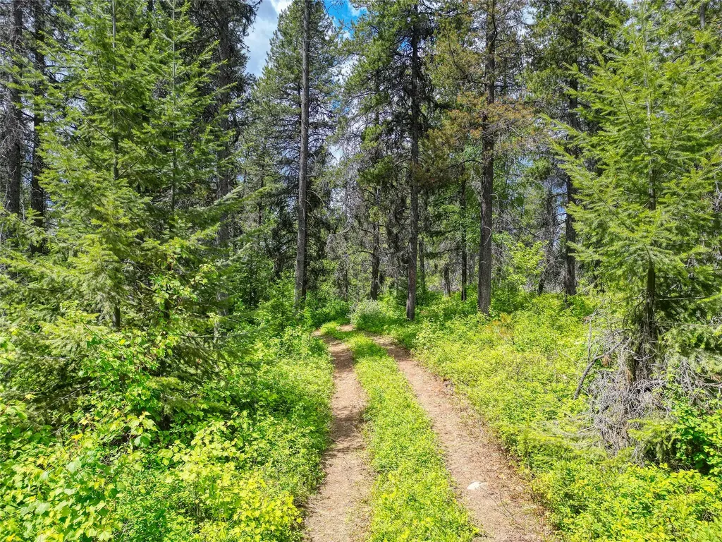 11315 Us Highway 2 E West Glacier MT 59936