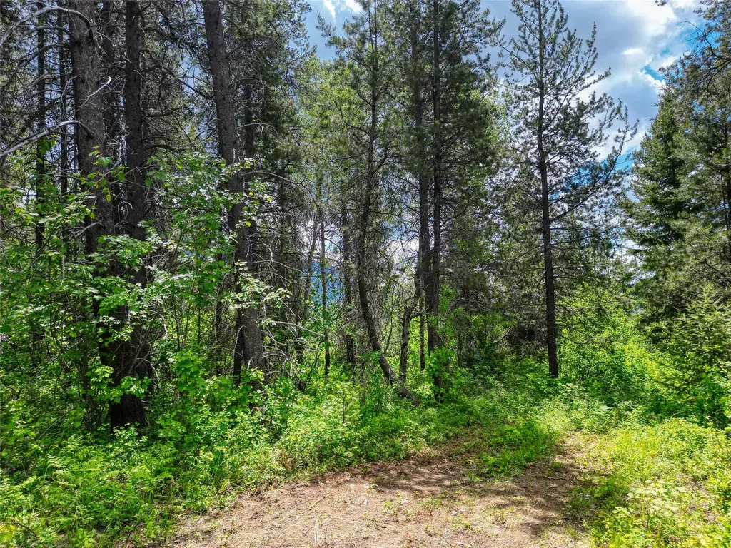 11315 Us Highway 2 E West Glacier MT 59936