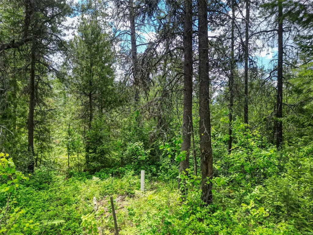 11315 Us Highway 2 E West Glacier MT 59936