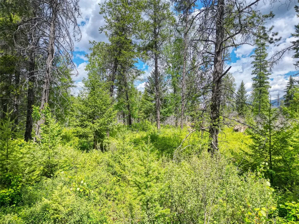 11315 Us Highway 2 E West Glacier MT 59936