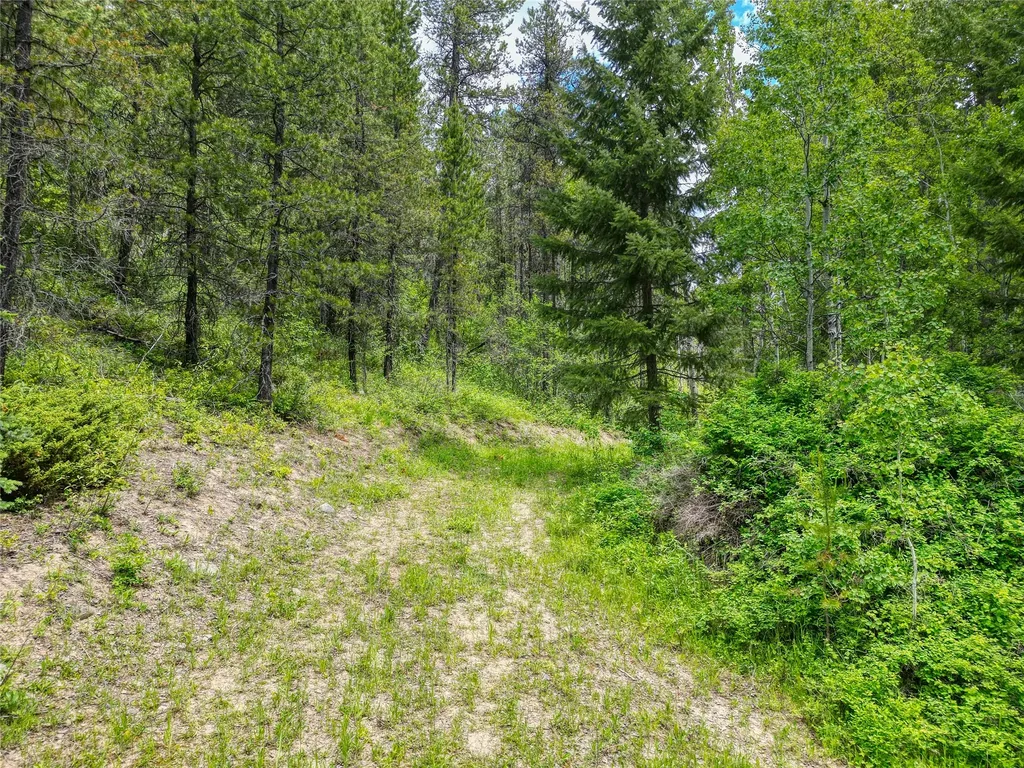 11315 Us Highway 2 E West Glacier MT 59936