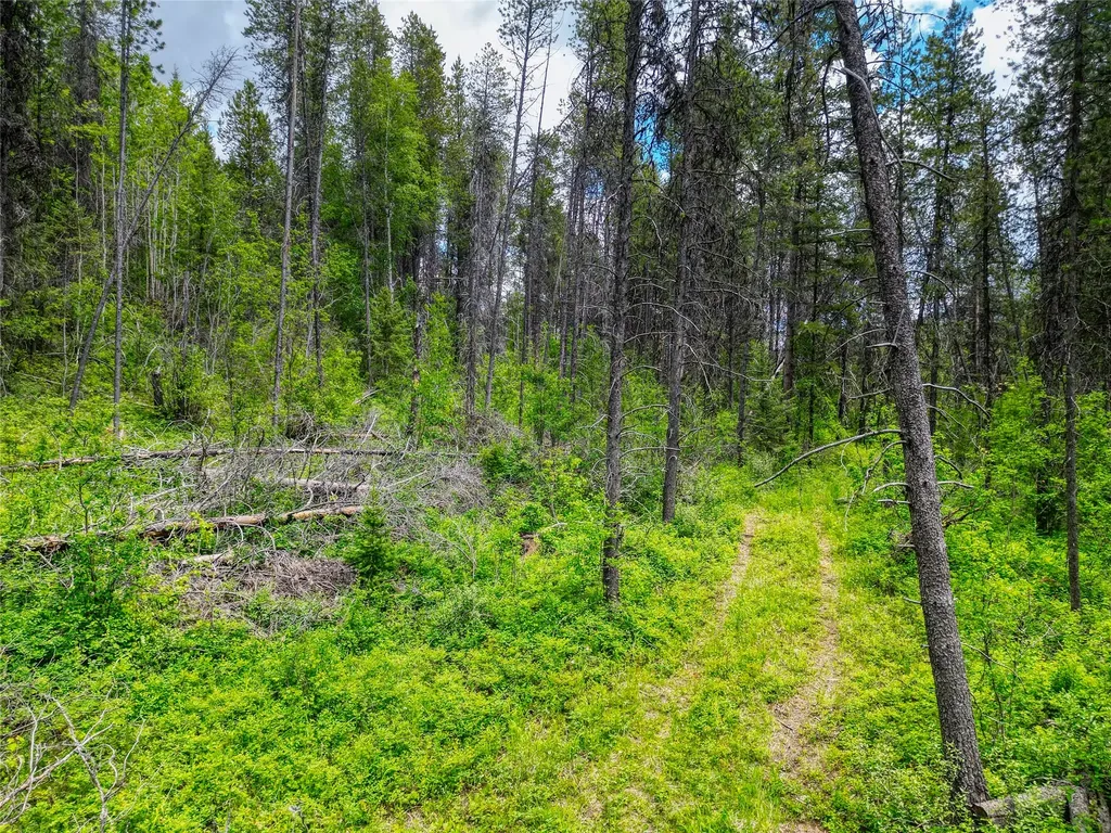 11315 Us Highway 2 E West Glacier MT 59936