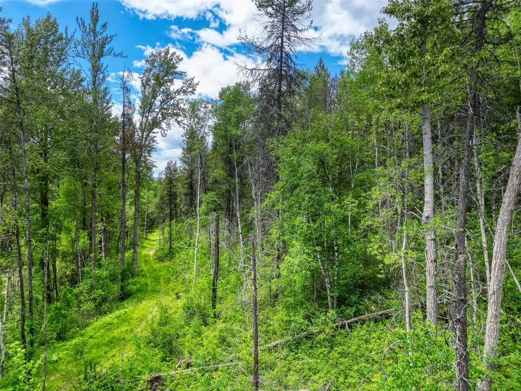 11315 Us Highway 2 E West Glacier MT 59936