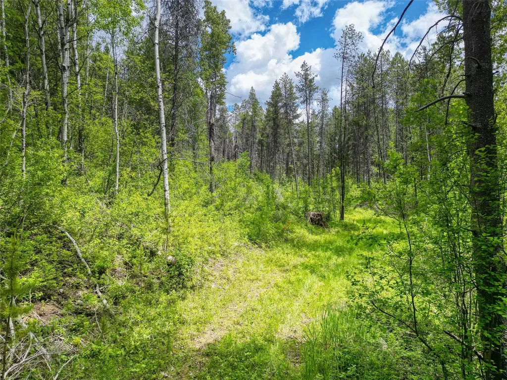 11315 Us Highway 2 E West Glacier MT 59936