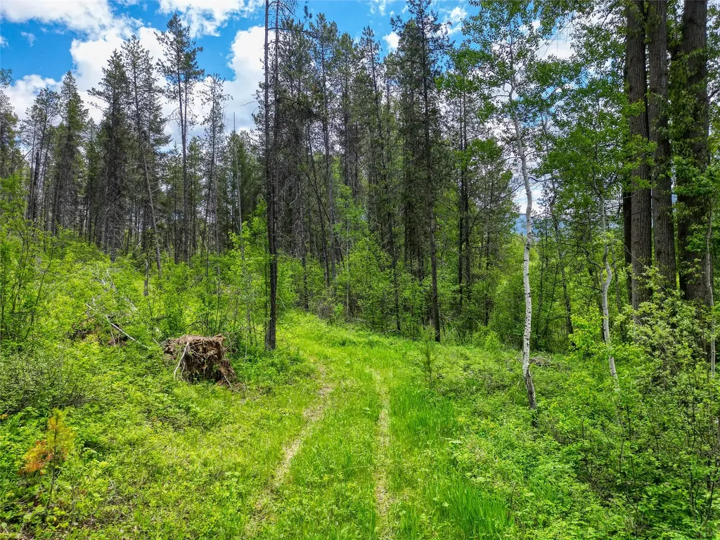 11315 Us Highway 2 E West Glacier MT 59936