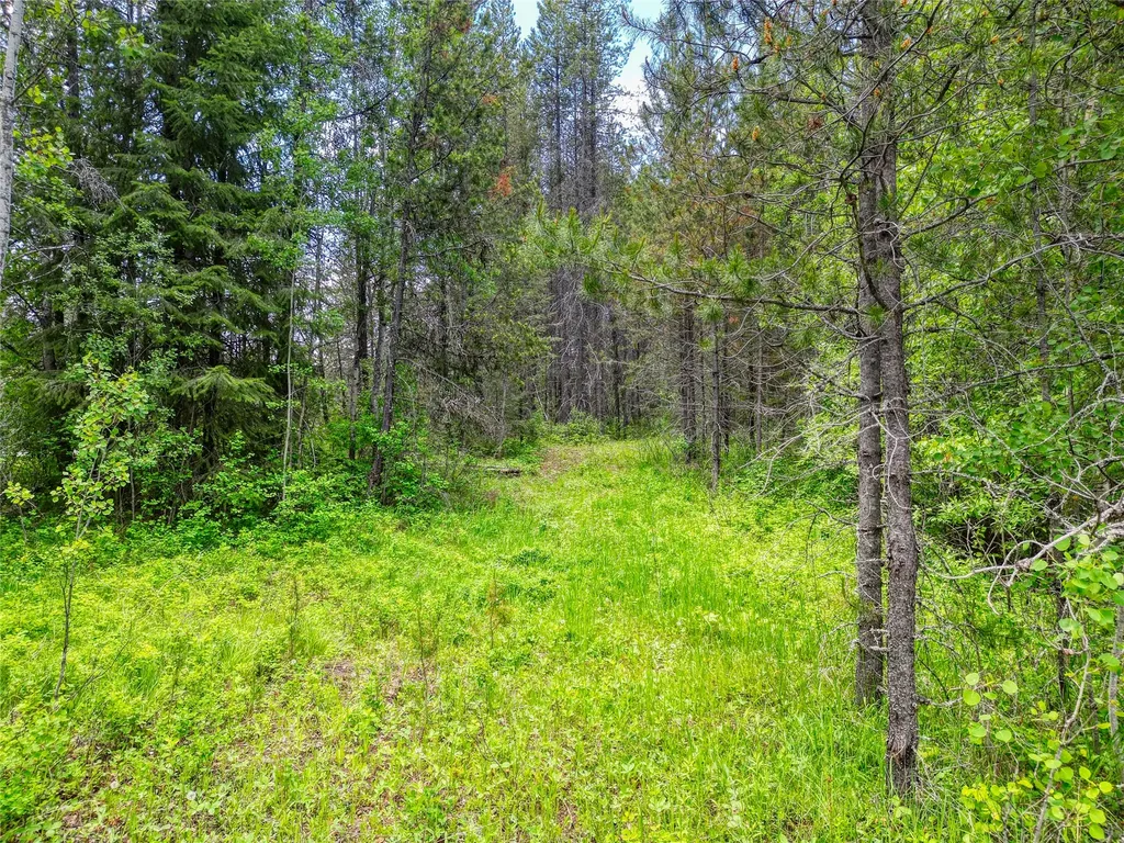 11315 Us Highway 2 E West Glacier MT 59936