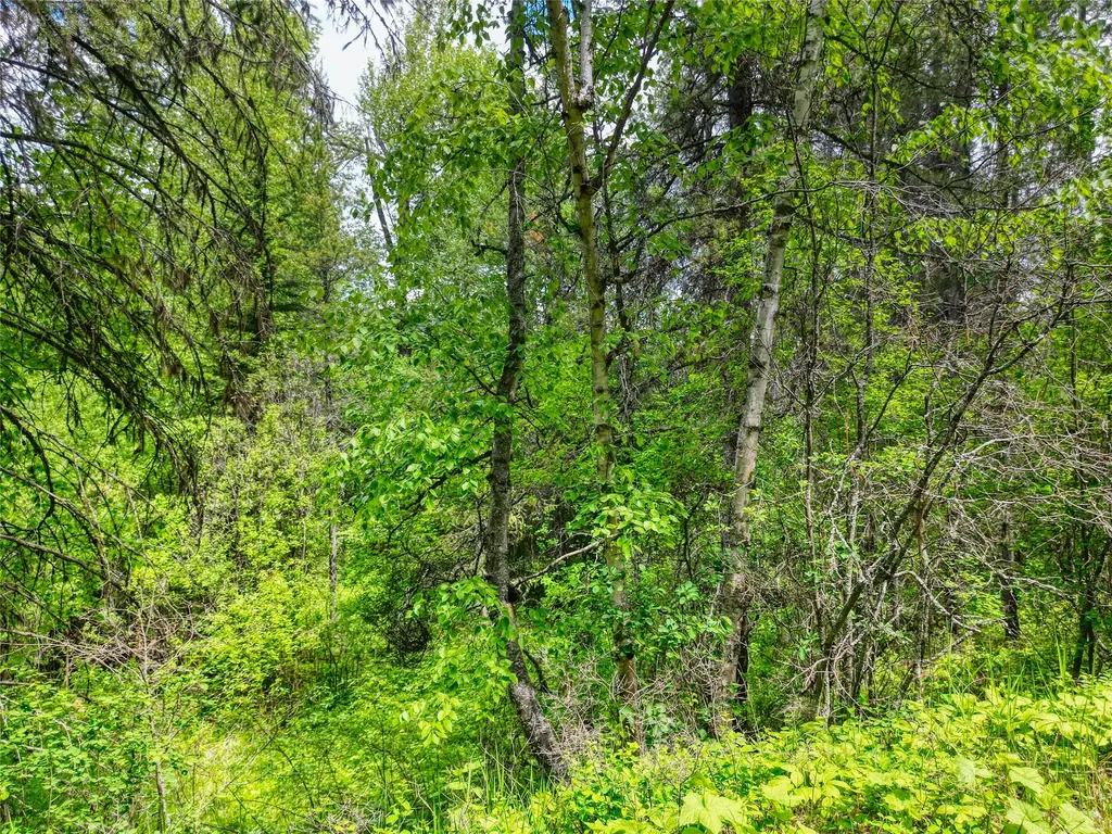 11315 Us Highway 2 E West Glacier MT 59936