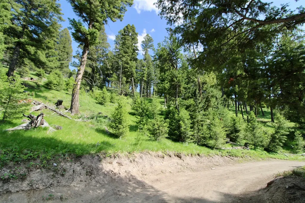 912 Muskrat Road Helmville MT 59843