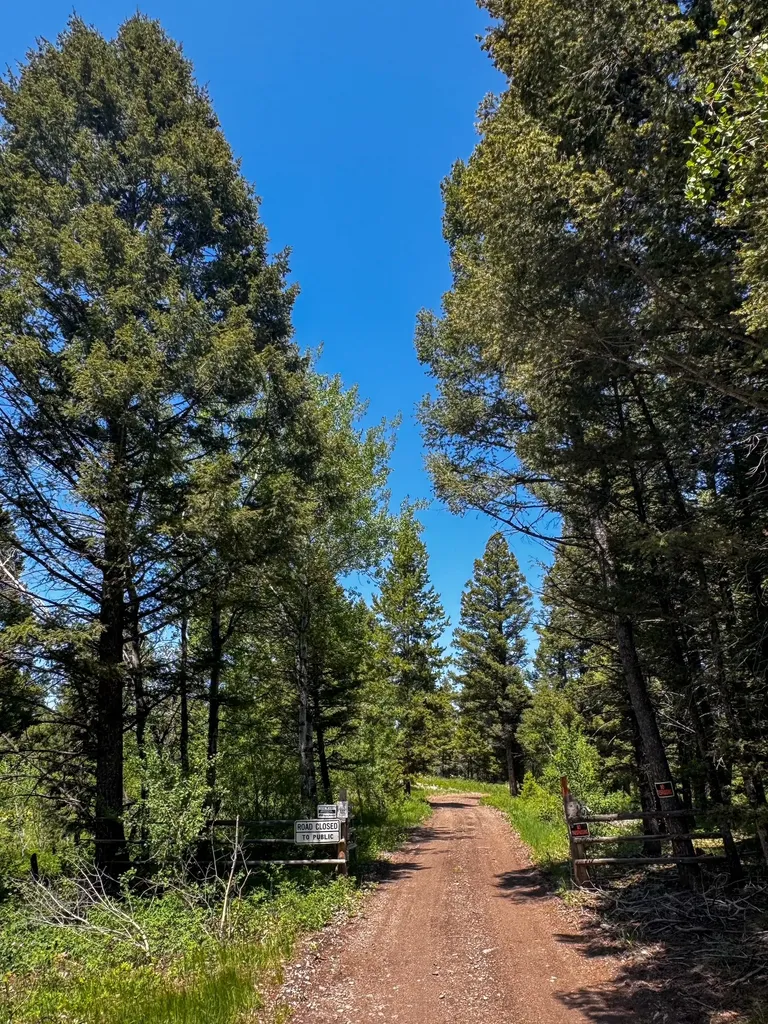 912 Muskrat Road Helmville MT 59843