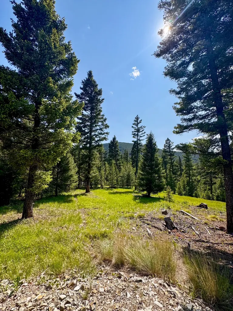 912 Muskrat Road Helmville MT 59843