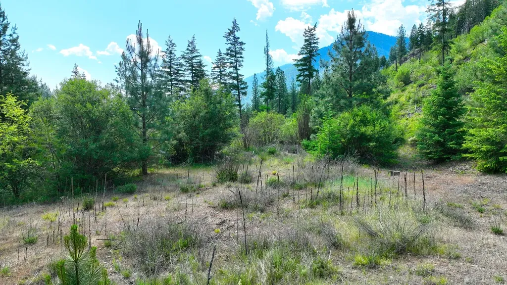 Nhn W Mountain Creek Road Alberton MT 59820