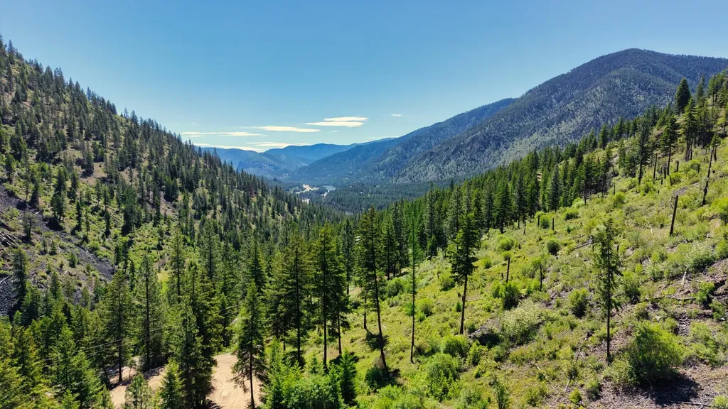 Nhn W Mountain Creek Road Alberton MT 59820