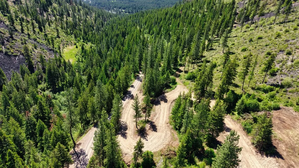 Nhn W Mountain Creek Road Alberton MT 59820
