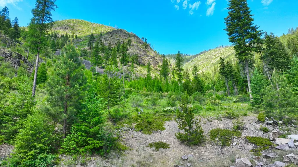 Nhn W Mountain Creek Road Alberton MT 59820